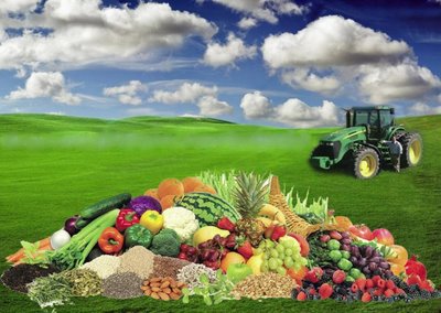 mezőgazdasági árucikkekkel foglalkozó cégek Dubaiban